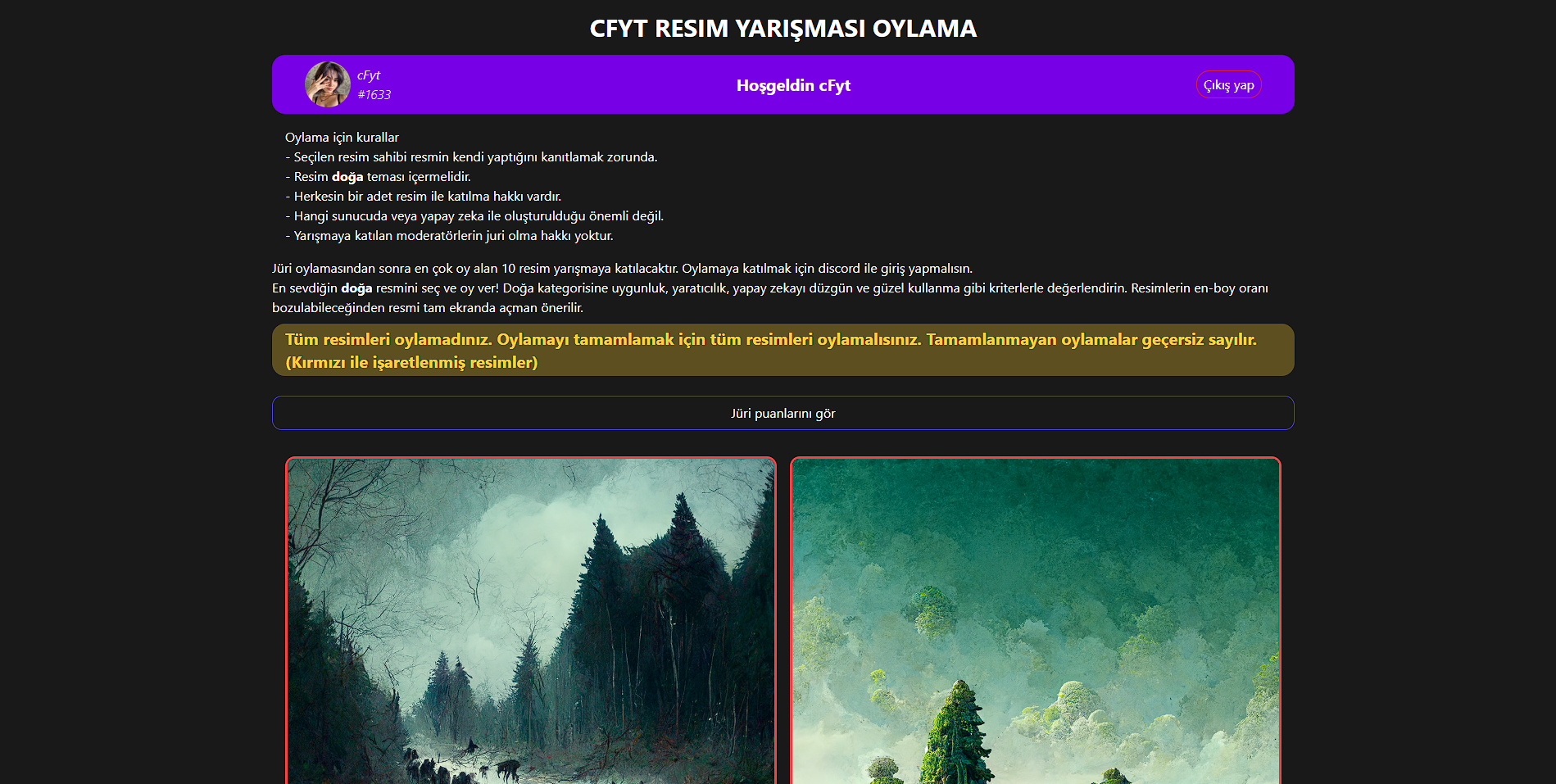 Resim Oylama